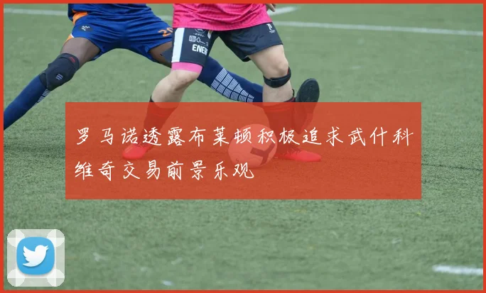 罗马诺透露布莱顿积极追求武什科维奇交易前景乐观
